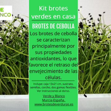Kit brotes de cebolla