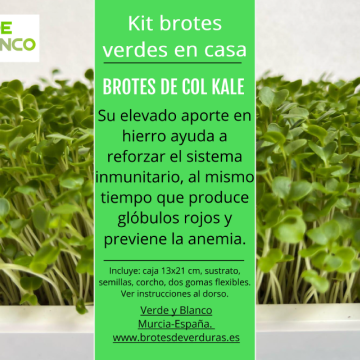 Kit brotes de col cale