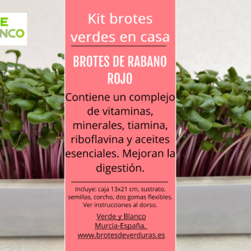 kit brotes de rabano rojo
