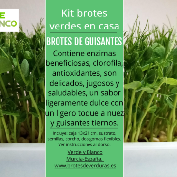 Kit brotes de guisantes