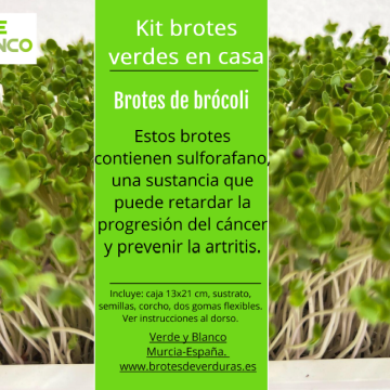 Kit brotes de brocoli
