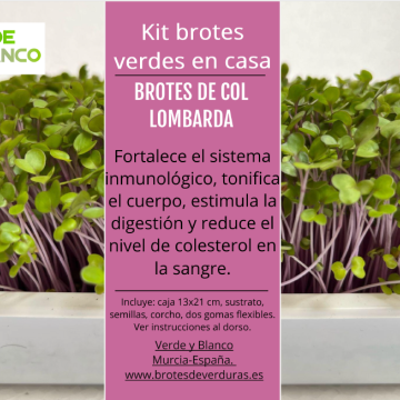 Kit brotes de col lombarda