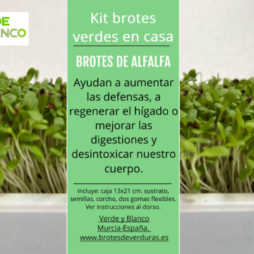 Kit brotes de alfalfa